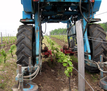 Domaine Sauvète : les labours de printemps